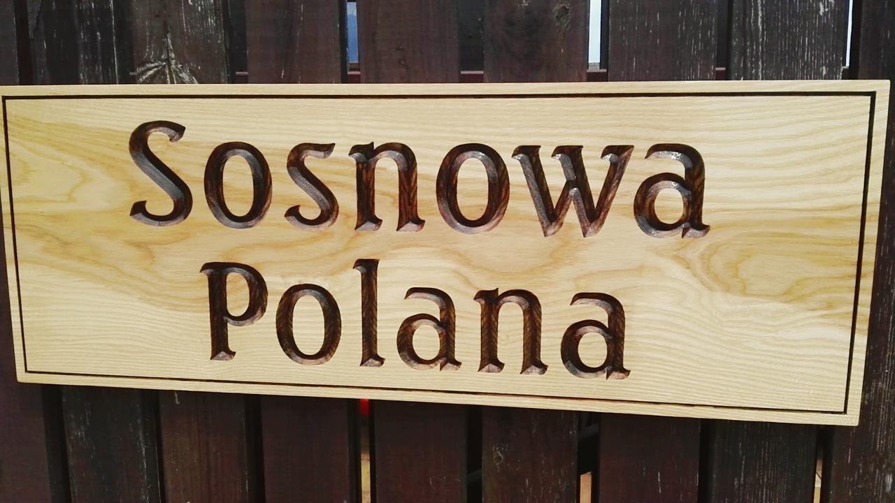 Sosnowa Polana Bialowieza Bagian luar foto